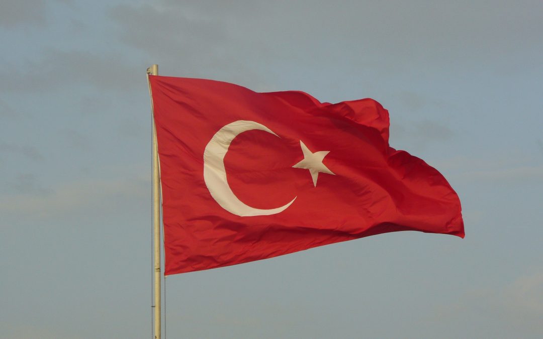 Pijus Petrošius. Turkija Kaukaze: ar regione atsiras vietos dviem galioms?