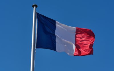 Išlaikyti kursą krizės akivaizdoje: Prancūzijos pirmininkavimo Europos Sąjungos Tarybai apžvalga